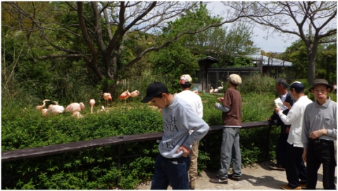 徳島動物園